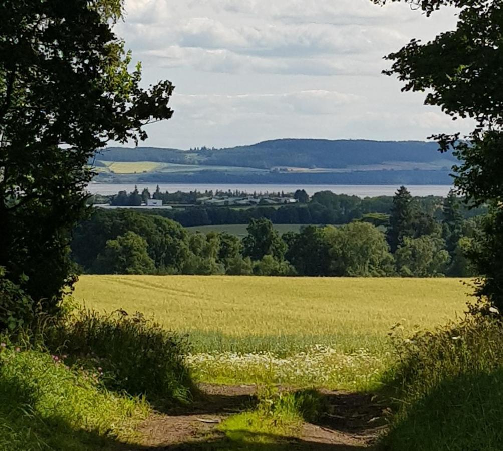 Westwood Cottage Dundee Dış mekan fotoğraf